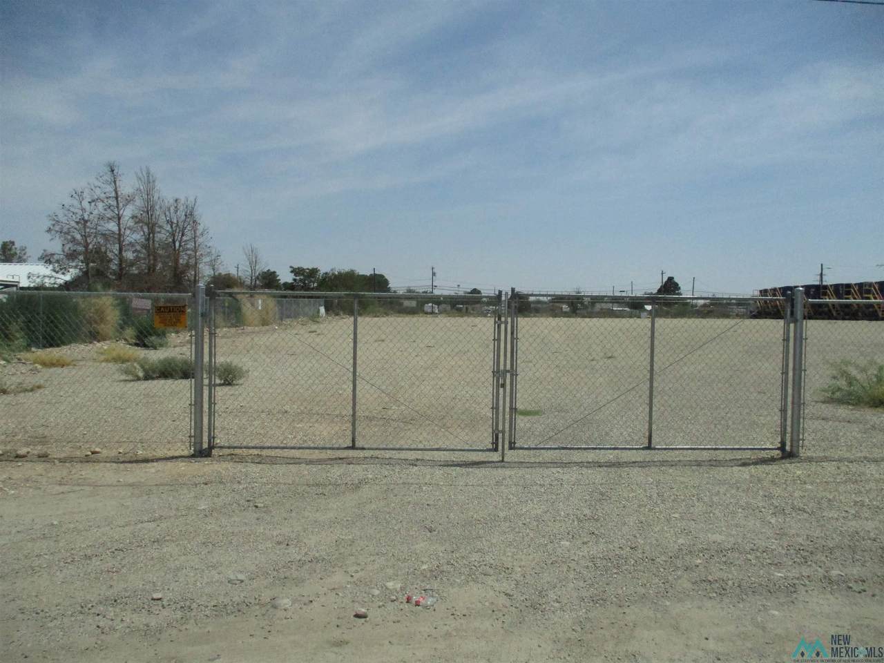 215 Rose - Photo 1