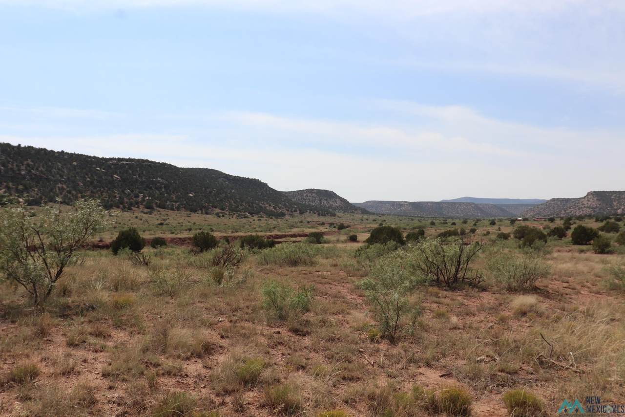 295 County Road - Photo 1