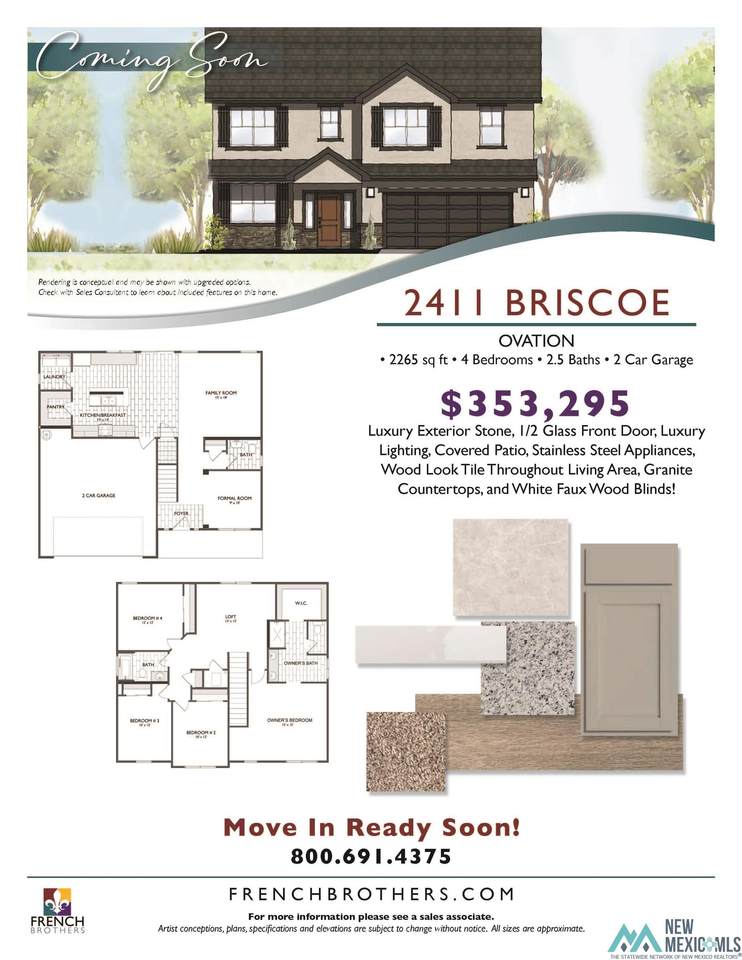 2411 Briscoe - Photo 1