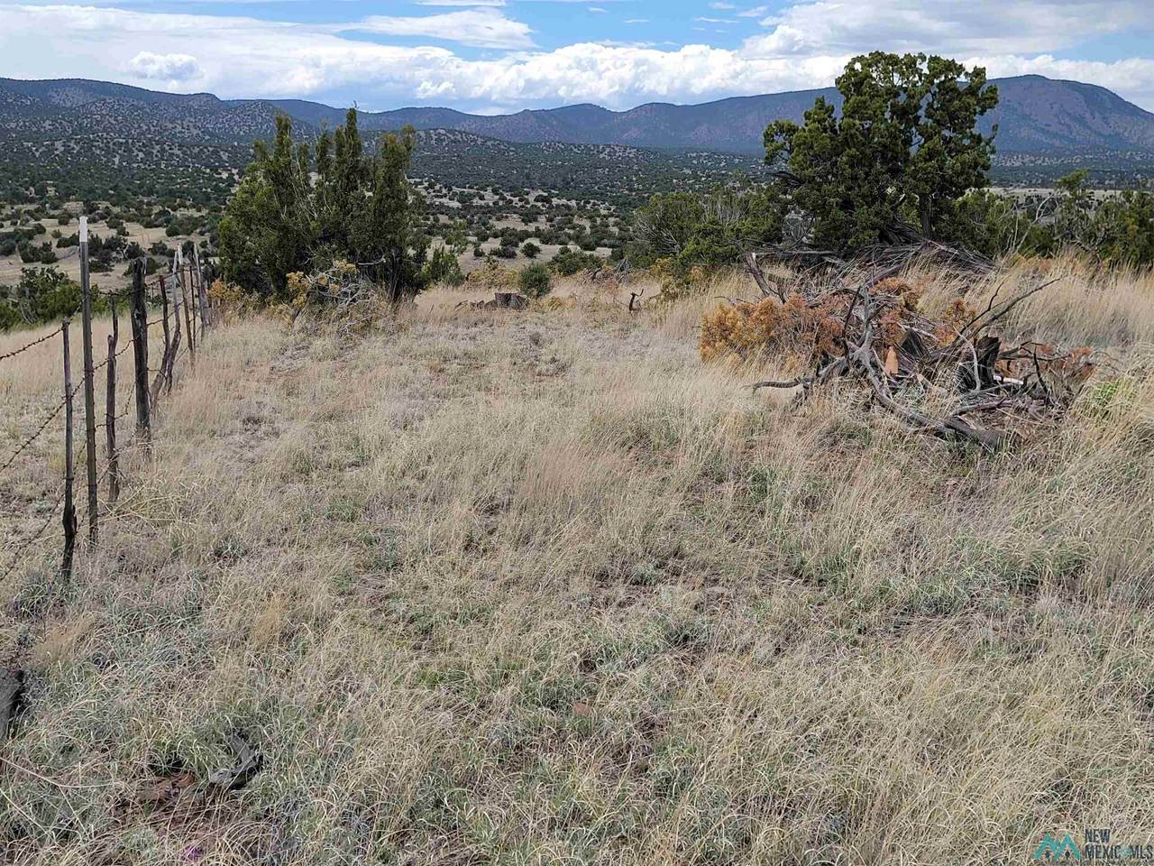 https://bt-photos.global.ssl.fastly.net/newmexico/1280_boomver_1_20242227-2.jpg