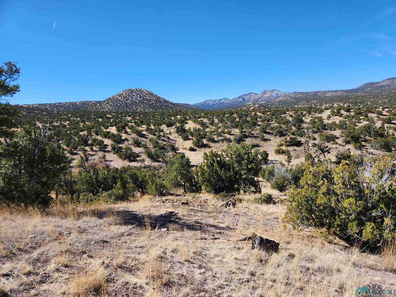 https://bt-photos.global.ssl.fastly.net/newmexico/1280_boomver_1_20242227-2.jpg