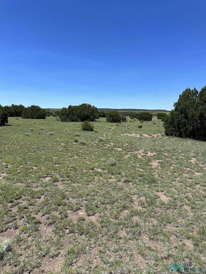 https://bt-photos.global.ssl.fastly.net/newmexico/1280_boomver_1_20244007-2.jpg