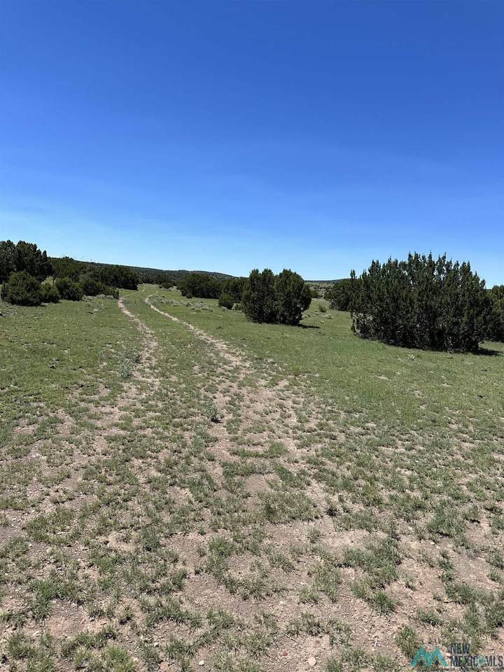 https://bt-photos.global.ssl.fastly.net/newmexico/1280_boomver_1_20244007-2.jpg