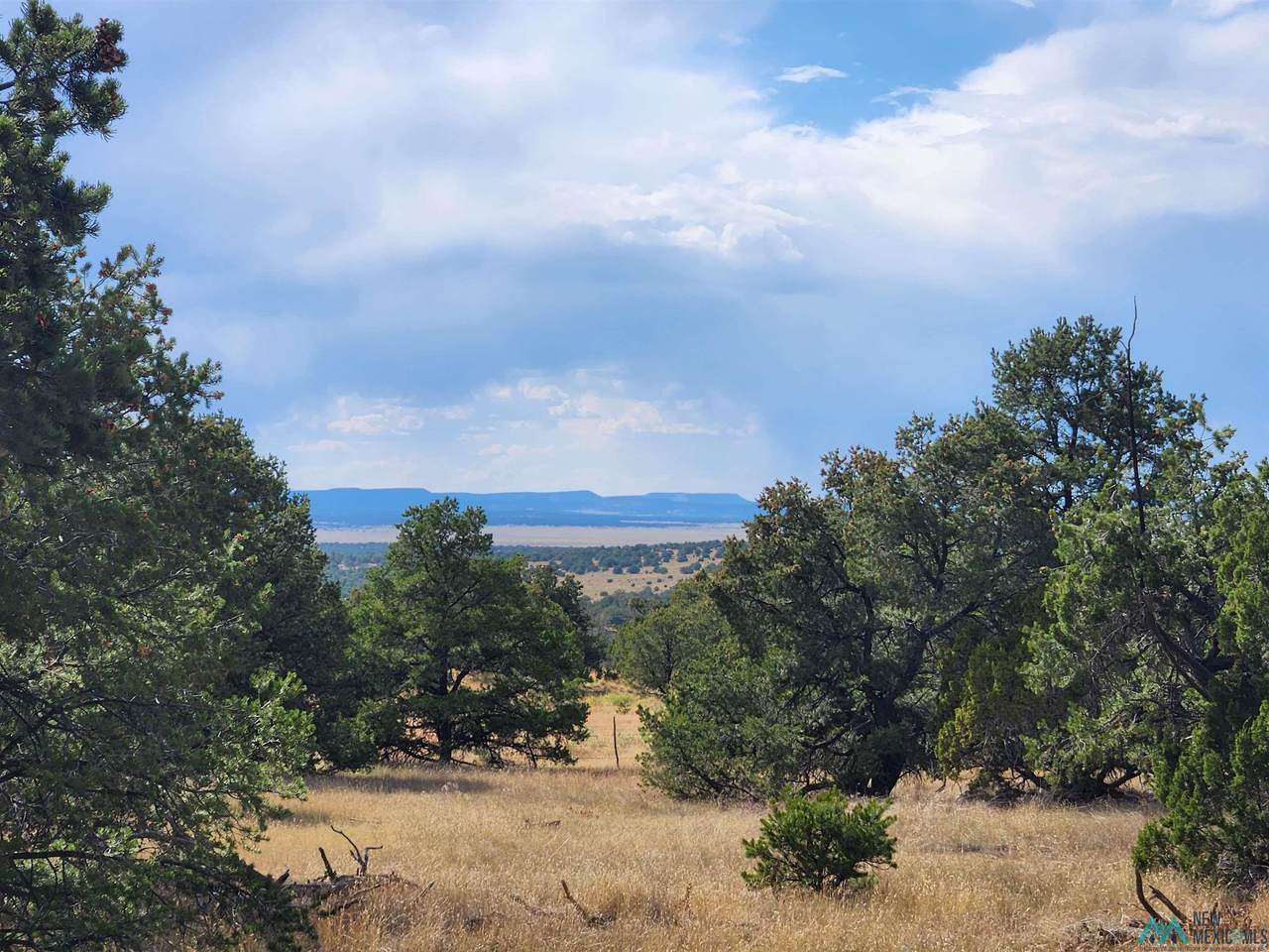 136 Ponderosa View Loop Road - Photo 1