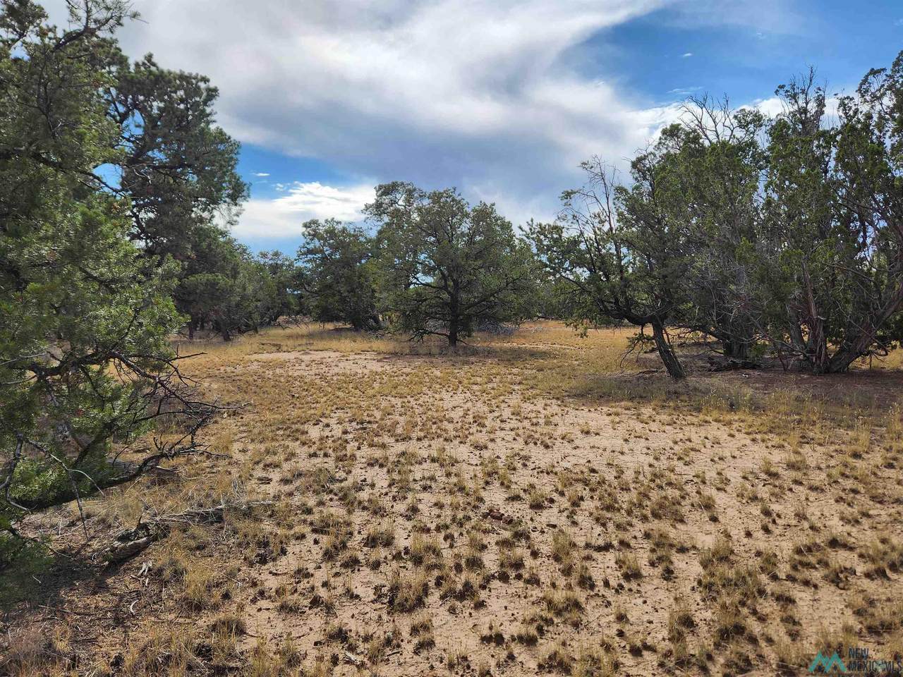 https://bt-photos.global.ssl.fastly.net/newmexico/1280_boomver_1_20245805-2.jpg