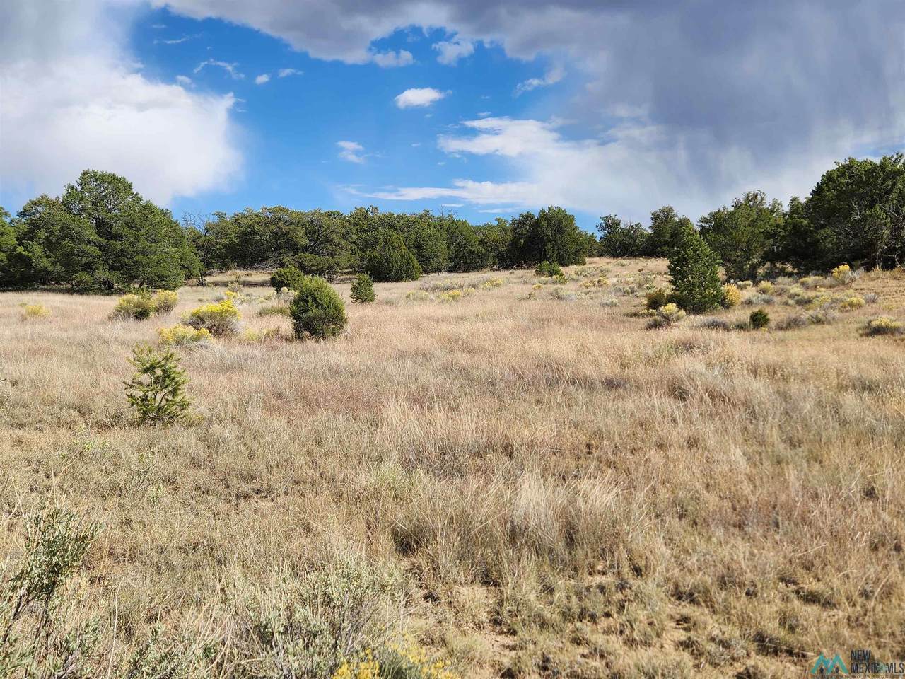 https://bt-photos.global.ssl.fastly.net/newmexico/1280_boomver_1_20245805-2.jpg