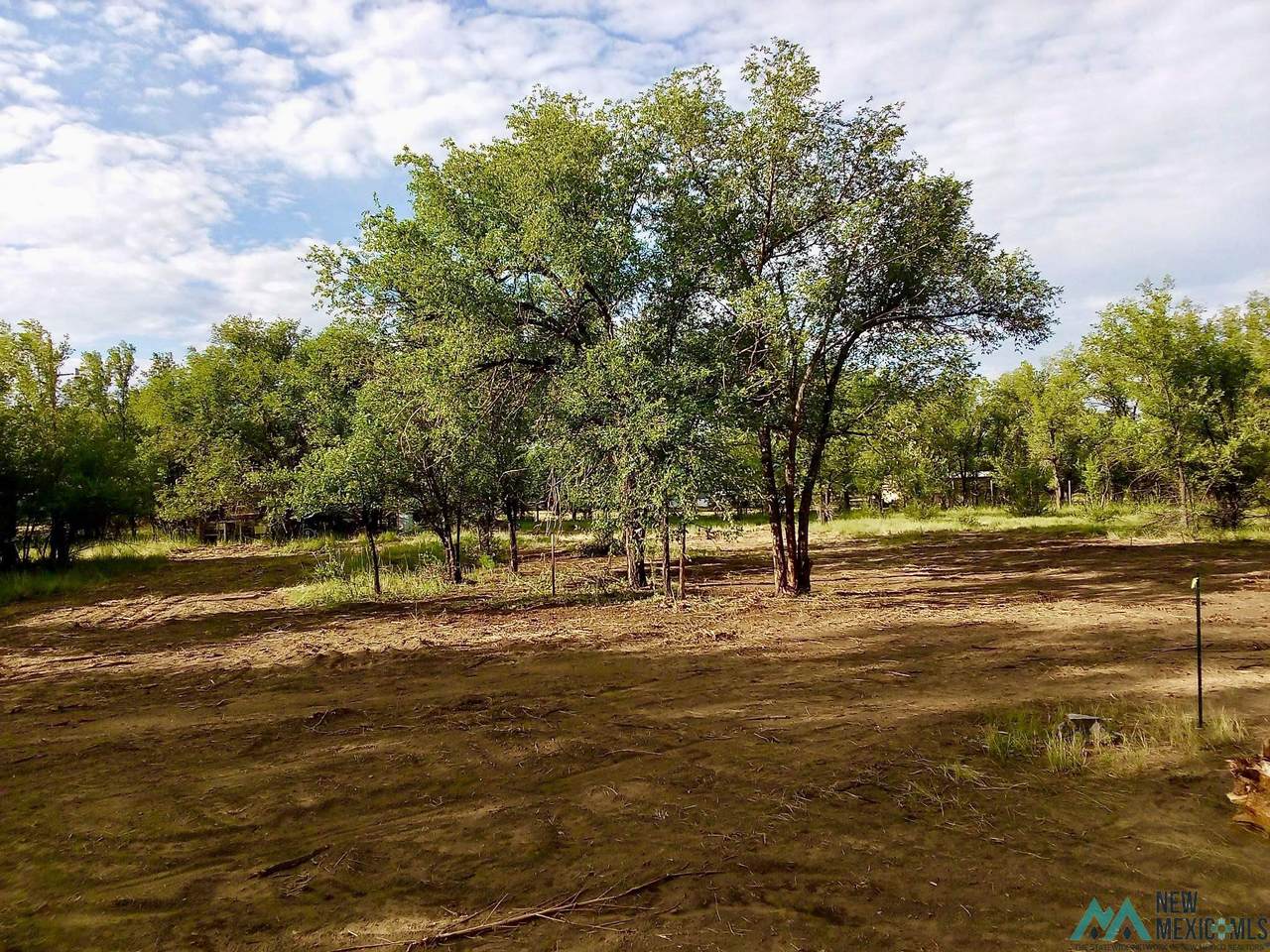 302 10th Street - Photo 1