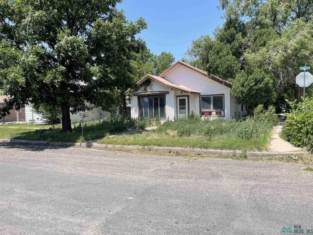 223 Cedar Street - Photo 1