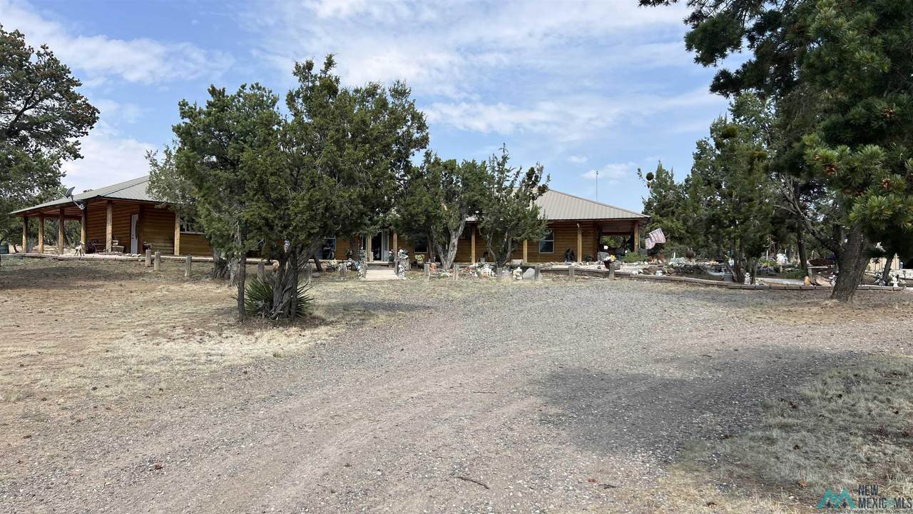 79 Long Horizon Rd Road - Photo 1