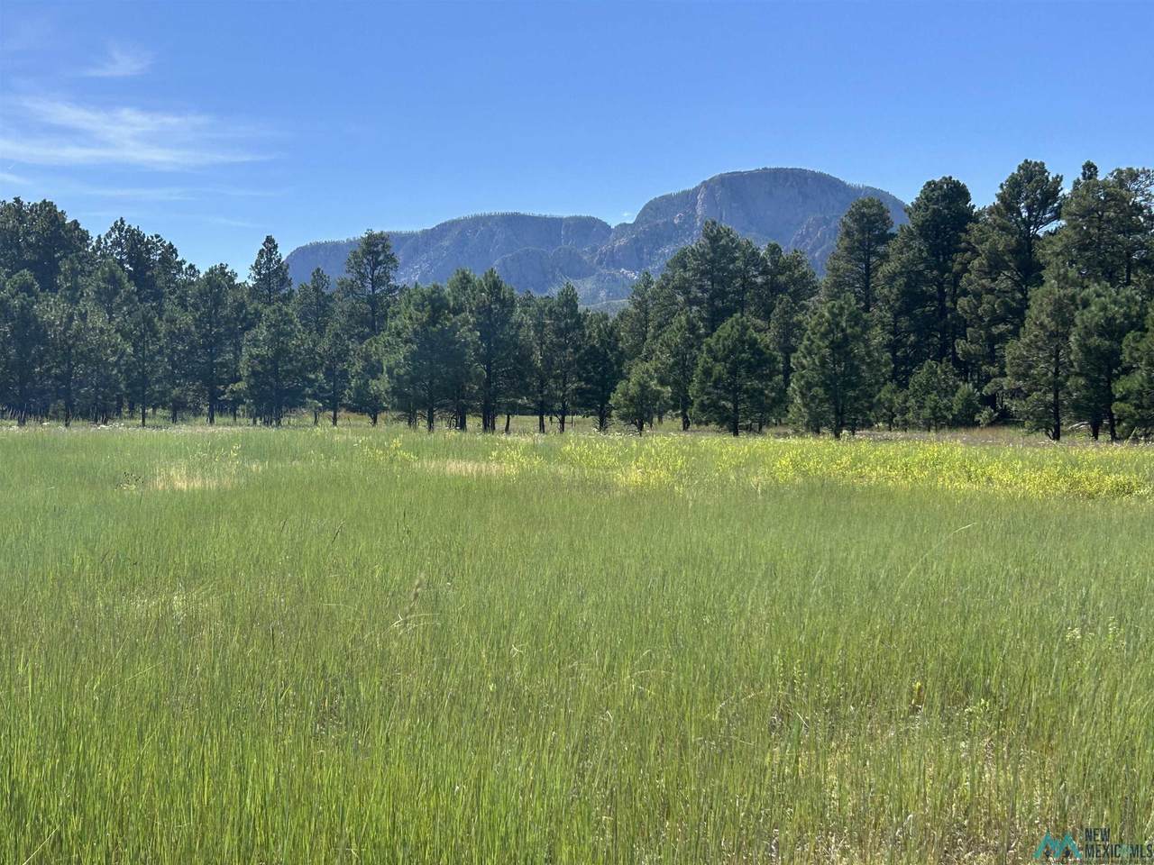 211 County Road A2 - Photo 1