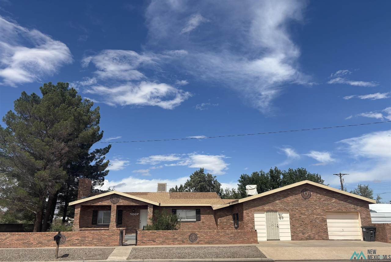 101 Mesquite Street - Photo 1