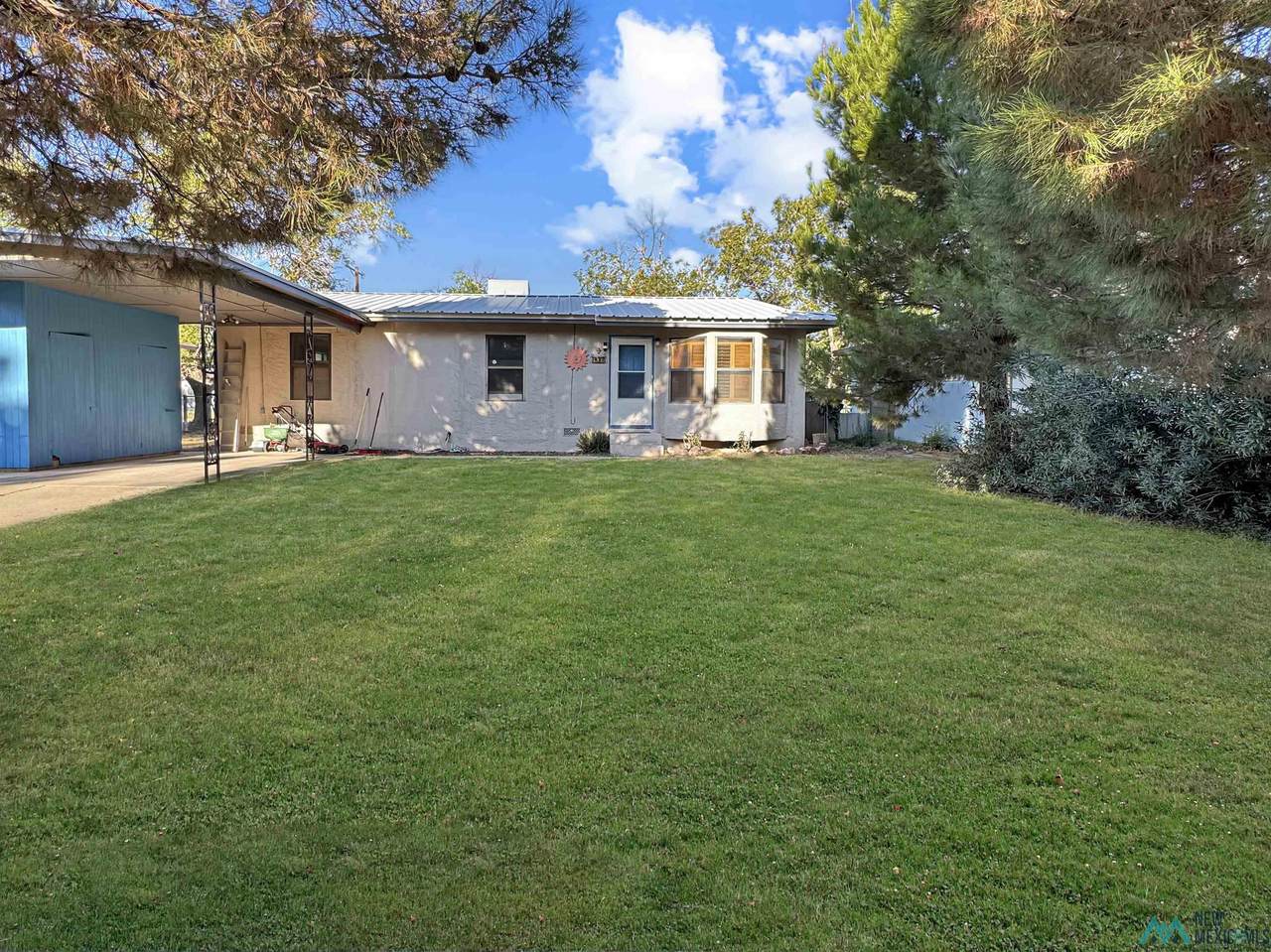 907 Alamosa Street - Photo 1