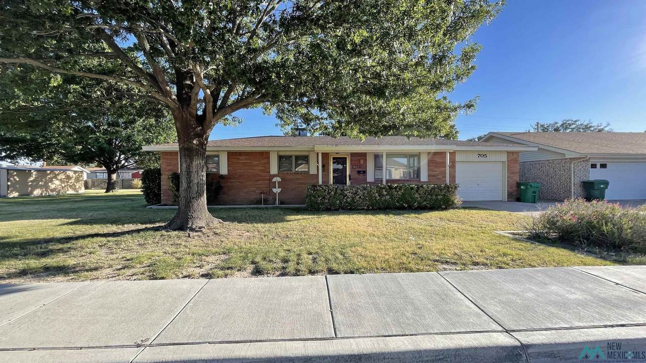 705 Polk Avenue - Photo 1