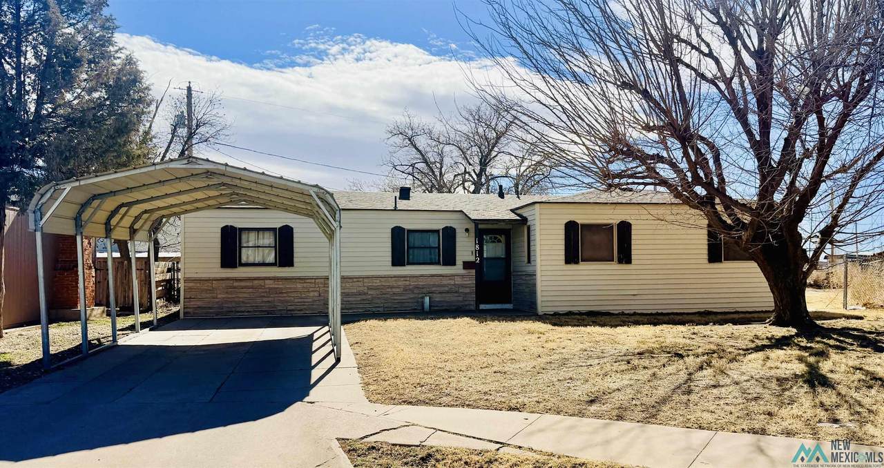 1812 Plains Park Drive - Photo 1