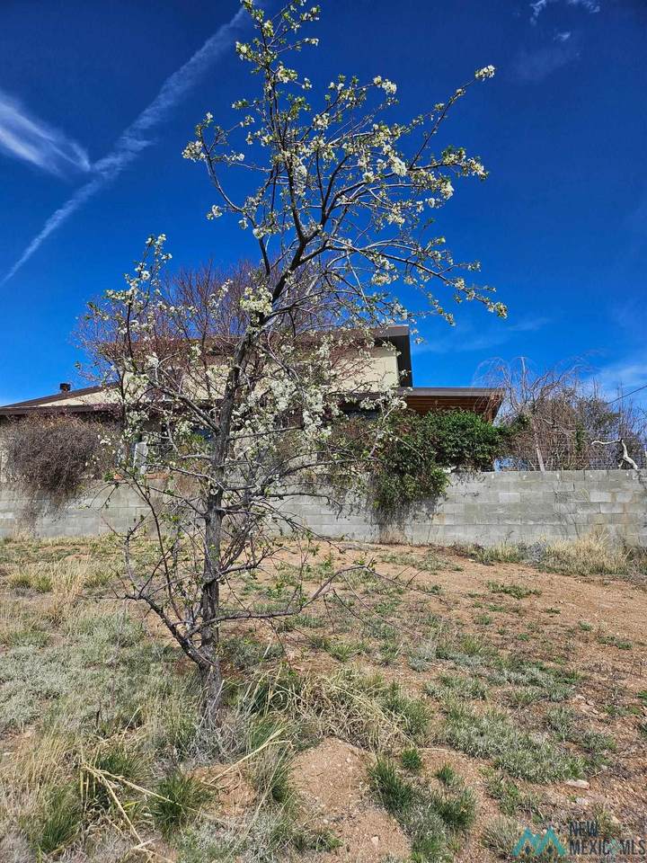 https://bt-photos.global.ssl.fastly.net/newmexico/1280_boomver_3_20261462-2.jpg