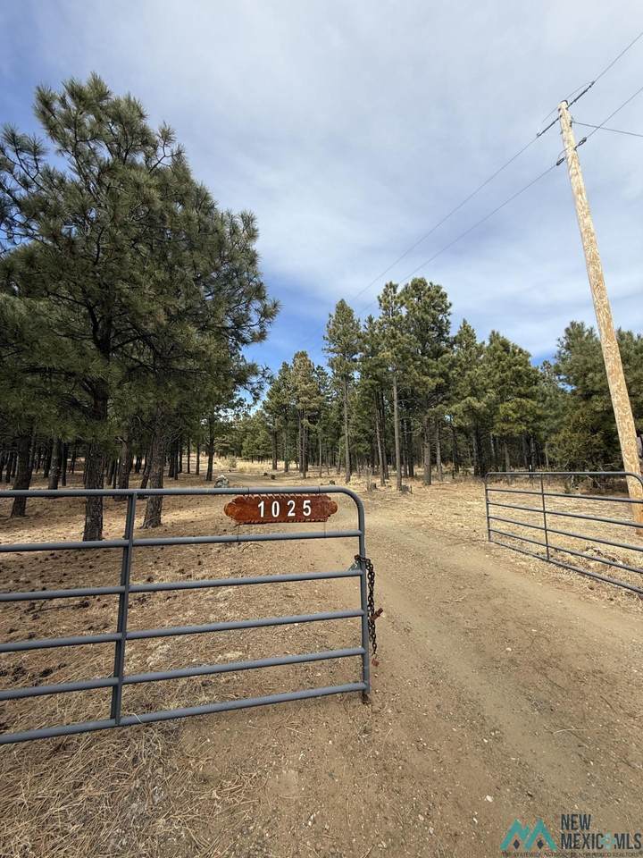 1025 Hwy 94 Highway - Photo 1