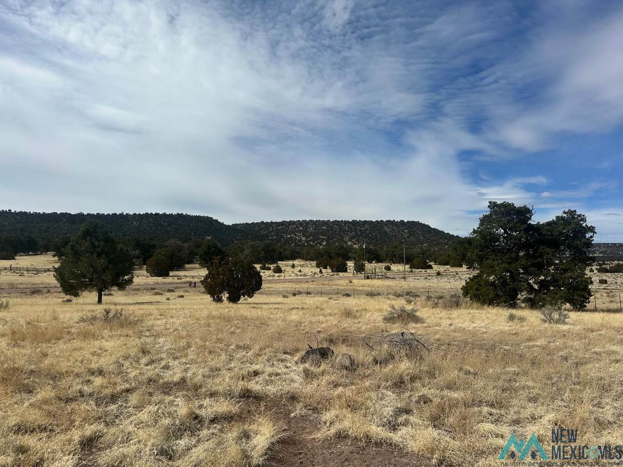 https://bt-photos.global.ssl.fastly.net/newmexico/1280_boomver_1_20261708-2.jpg