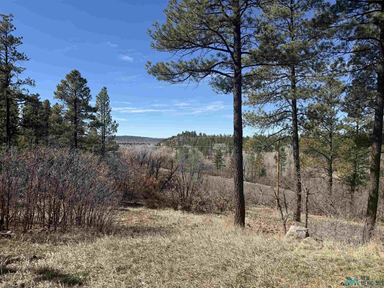 https://bt-photos.global.ssl.fastly.net/newmexico/1280_boomver_1_20261726-2.jpg