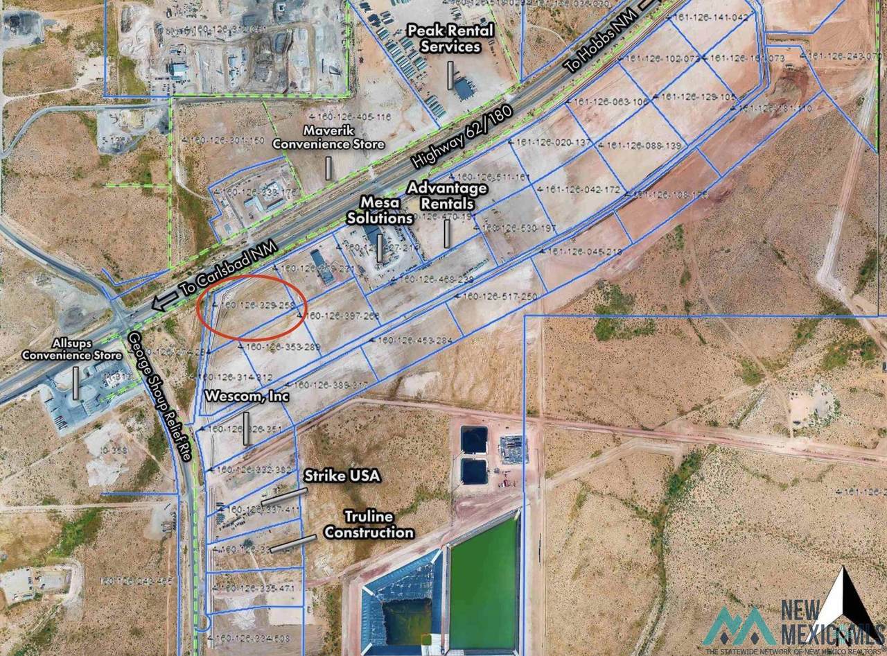 1827 Pitbull Road - Photo 1