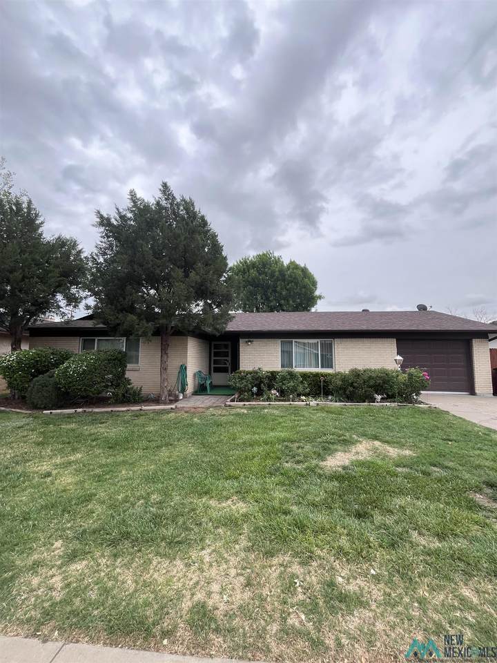 1005 Avenida Del Sumbre - Photo 1