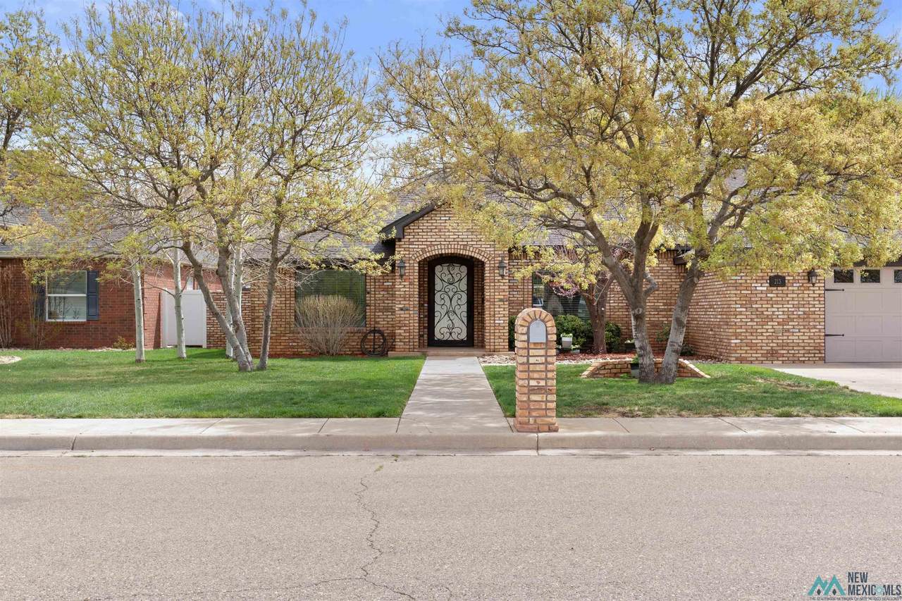 213 Sandpiper Drive - Photo 1