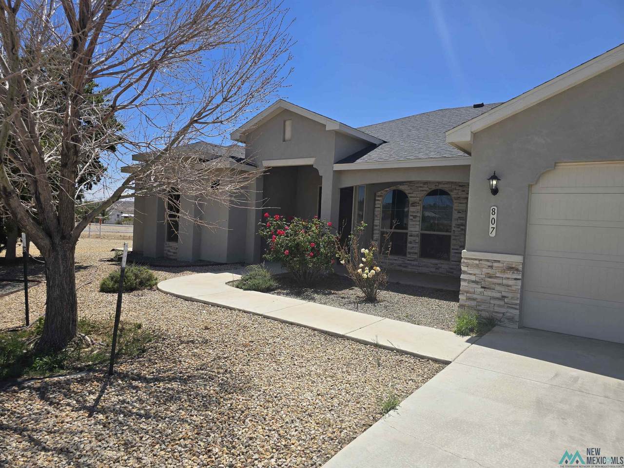 807 Calamity Jane Drive - Photo 1