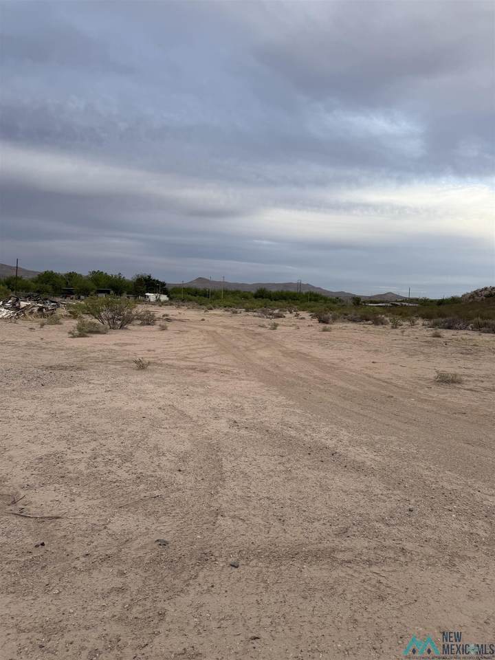 TBD Trujillo Creek Road - Photo 1