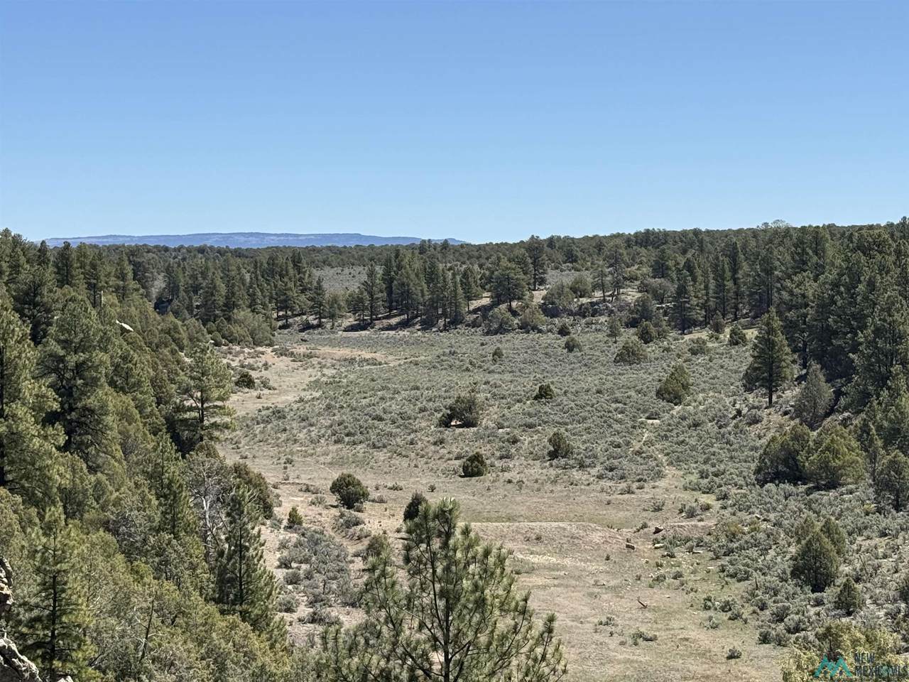 TBD Foredst Service Road 144 Forest - Photo 1