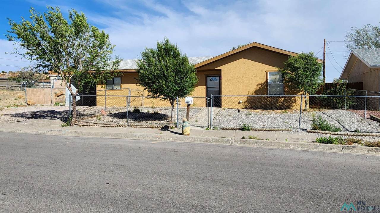 1601 Camino Rancheros - Photo 1