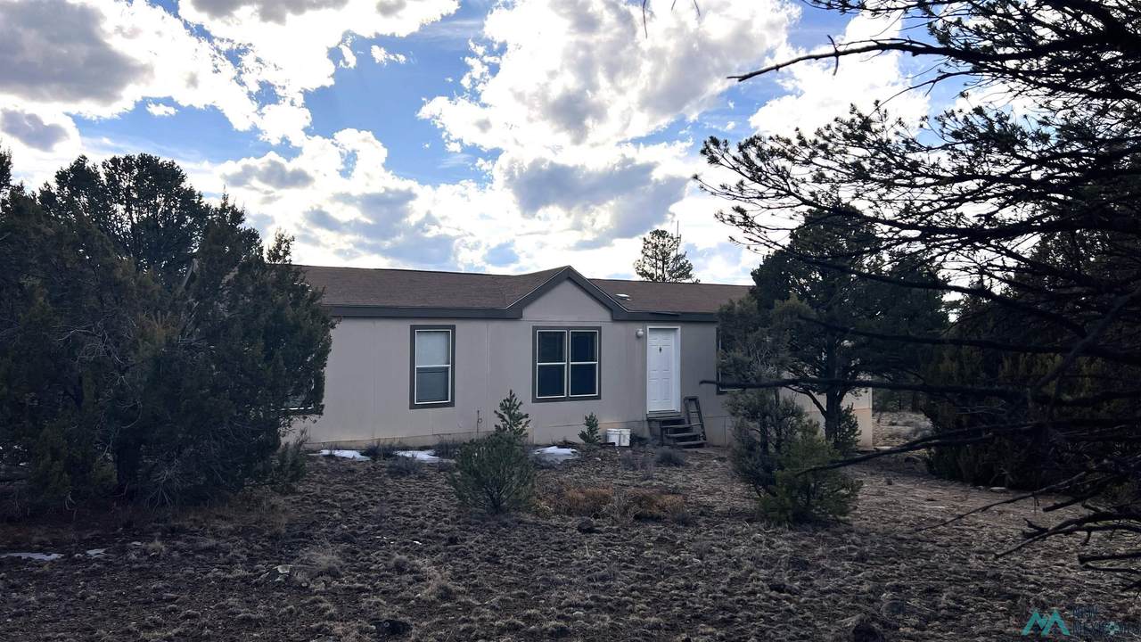 41 El Caso Rd Road - Photo 1