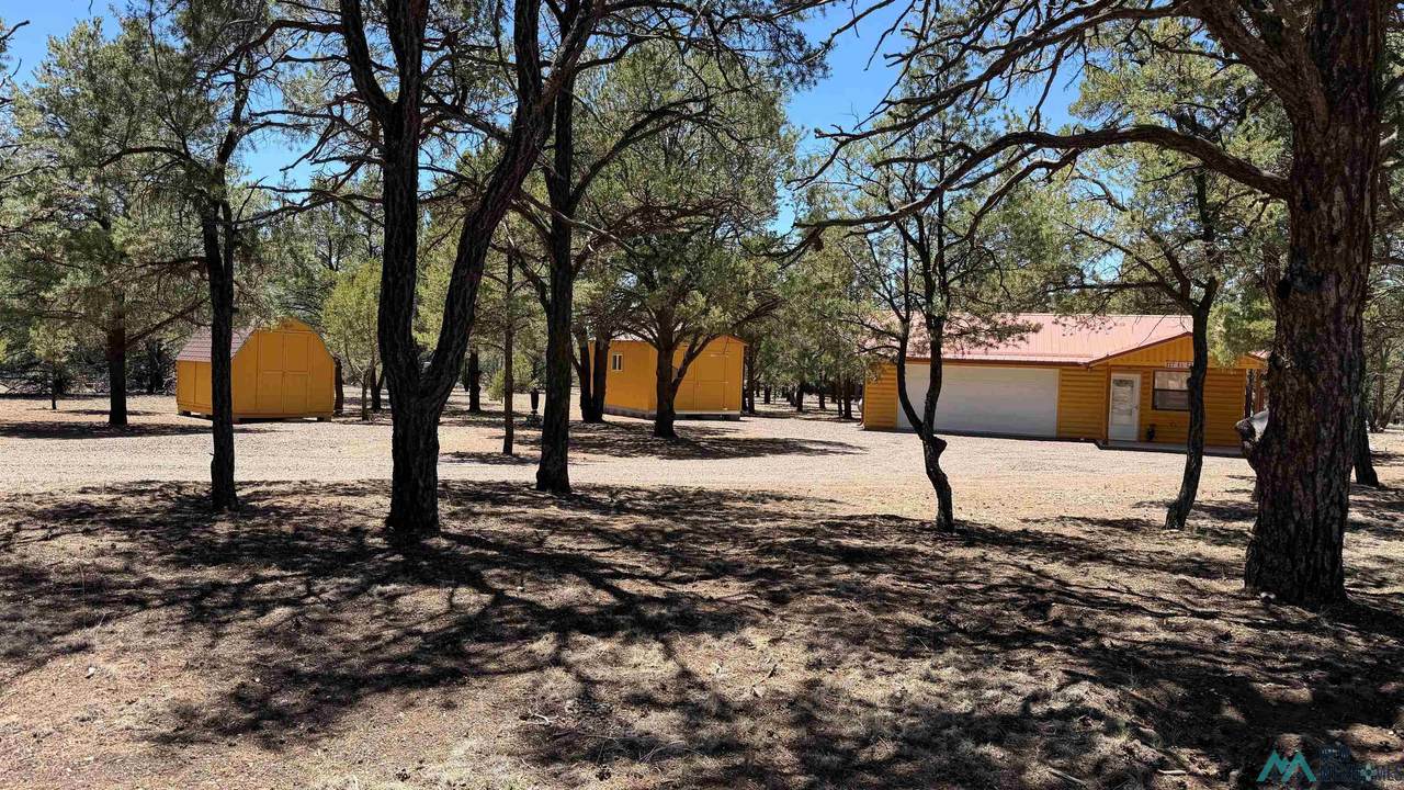227 El Caso Rd Road - Photo 1