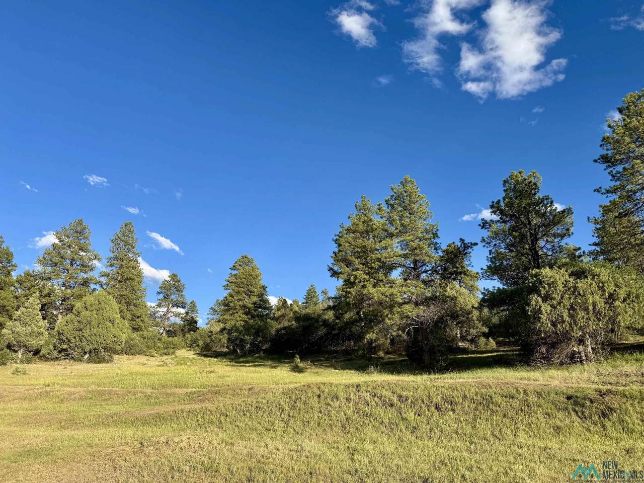 https://bt-photos.global.ssl.fastly.net/newmexico/1280_boomver_1_20263876-2.jpg