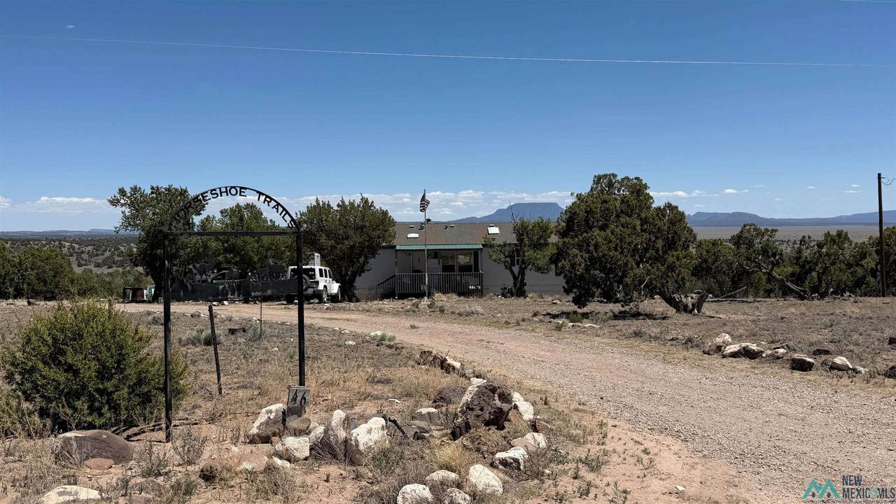 46 Horseshoe Circle - Photo 1