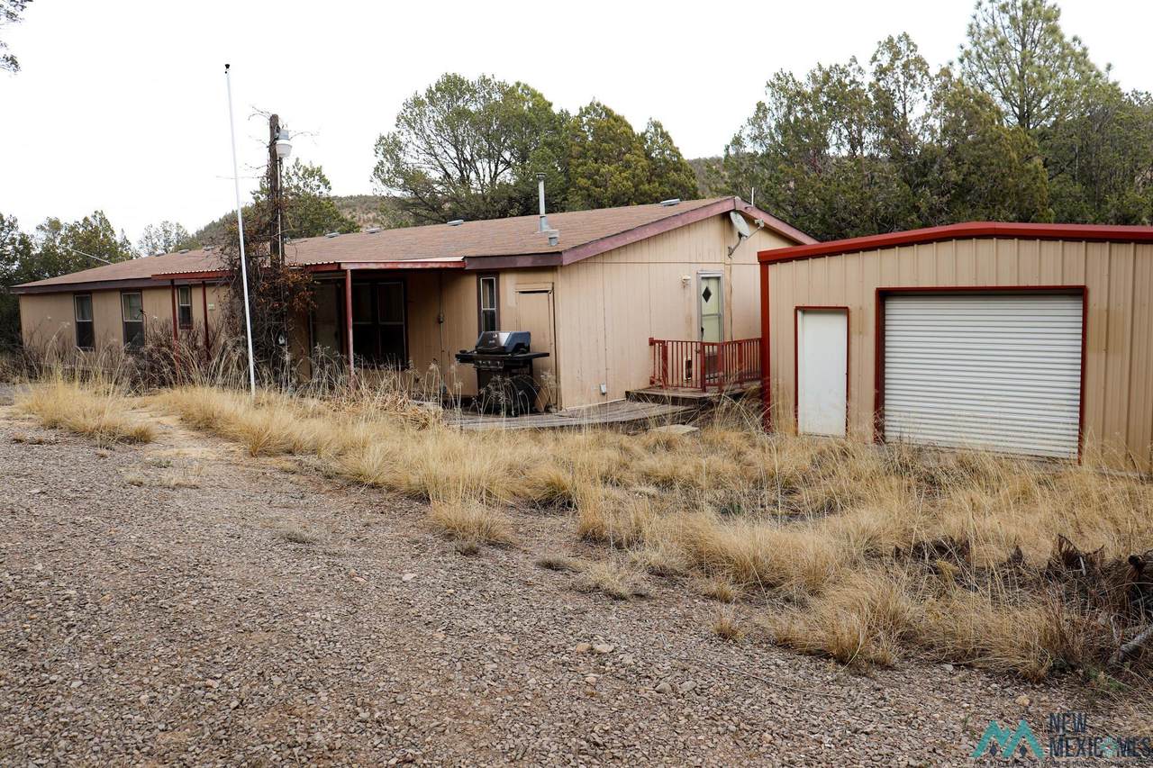 37 Juniper - Photo 1