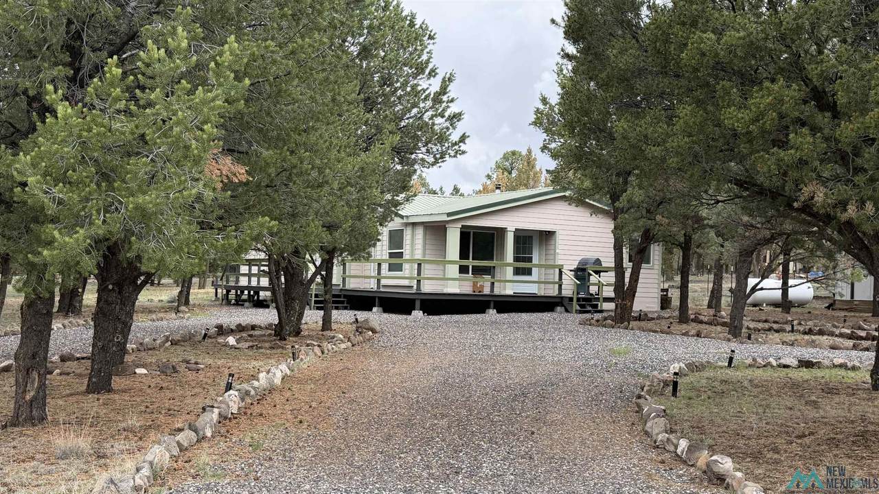 113 Largo Canyon Loop - Photo 1