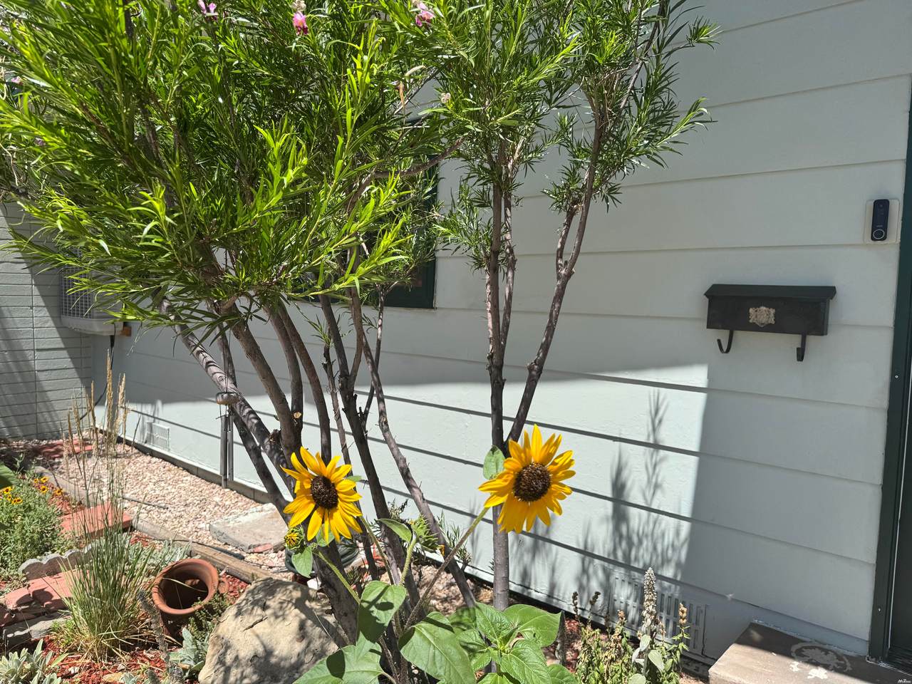 https://bt-photos.global.ssl.fastly.net/newmexico/1280_boomver_1_26000081-1.jpg
