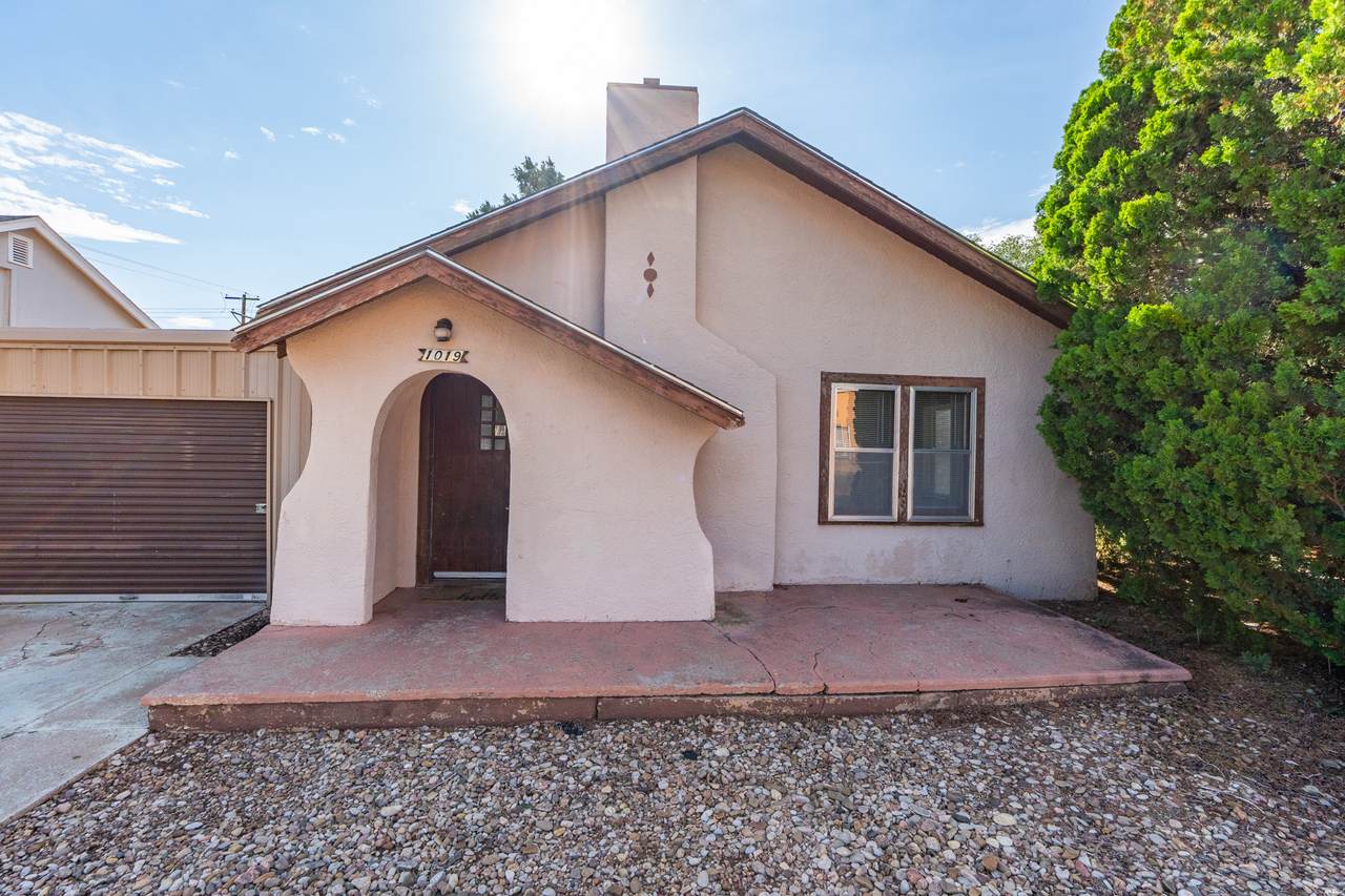 1019 Pile - Photo 1