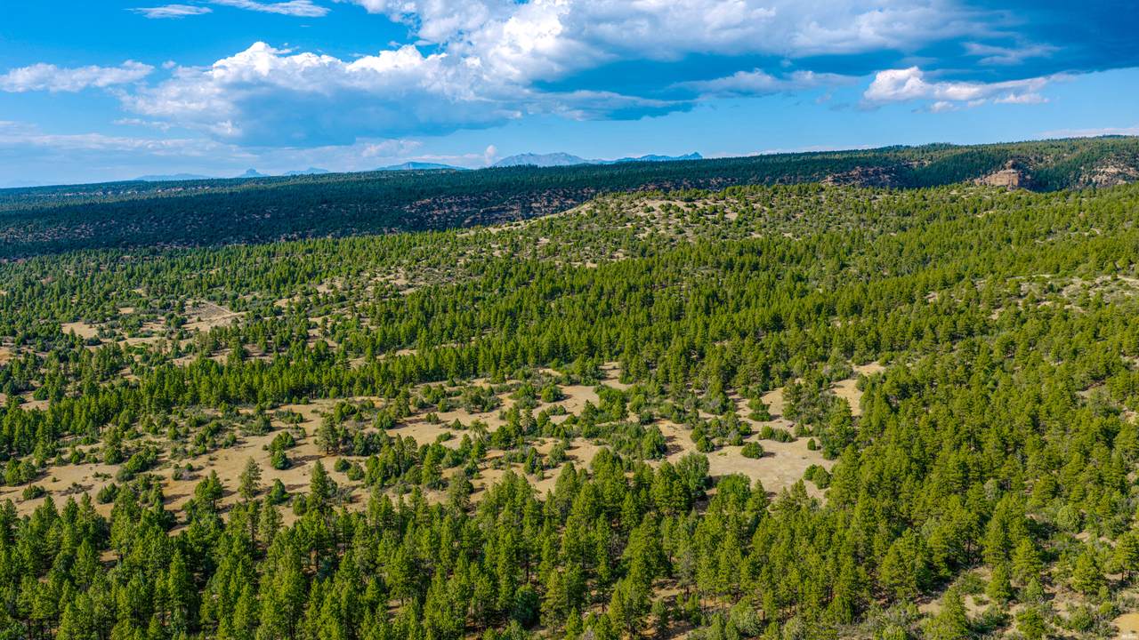 https://bt-photos.global.ssl.fastly.net/newmexico/1280_boomver_1_26000338-1.jpg