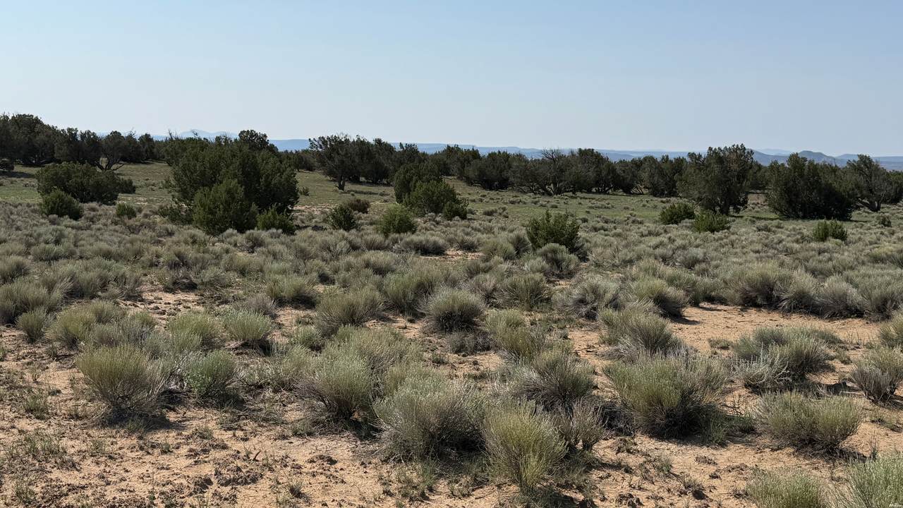 https://bt-photos.global.ssl.fastly.net/newmexico/1280_boomver_1_26000609-1.jpg