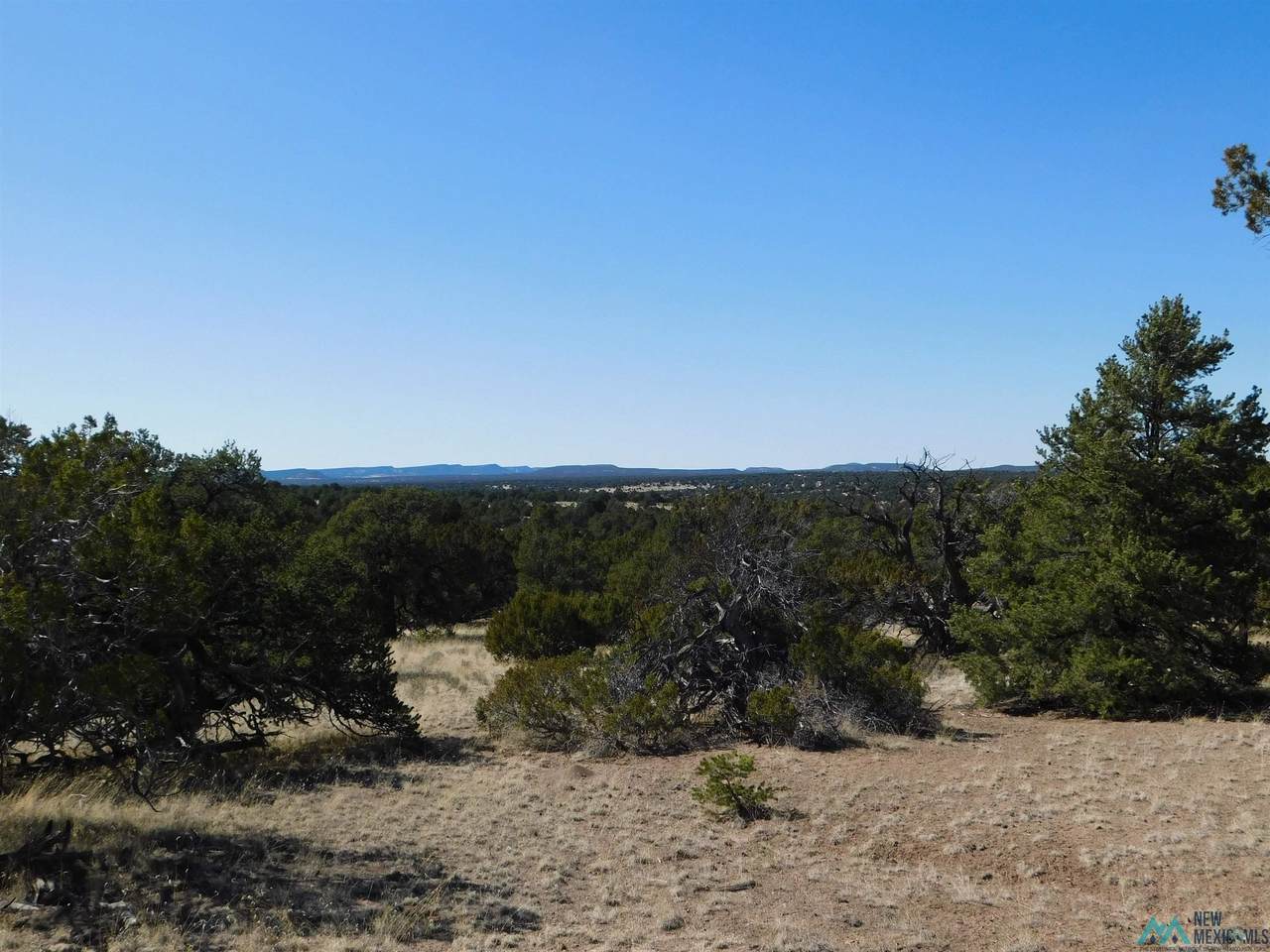 90 Pinewood - Photo 1
