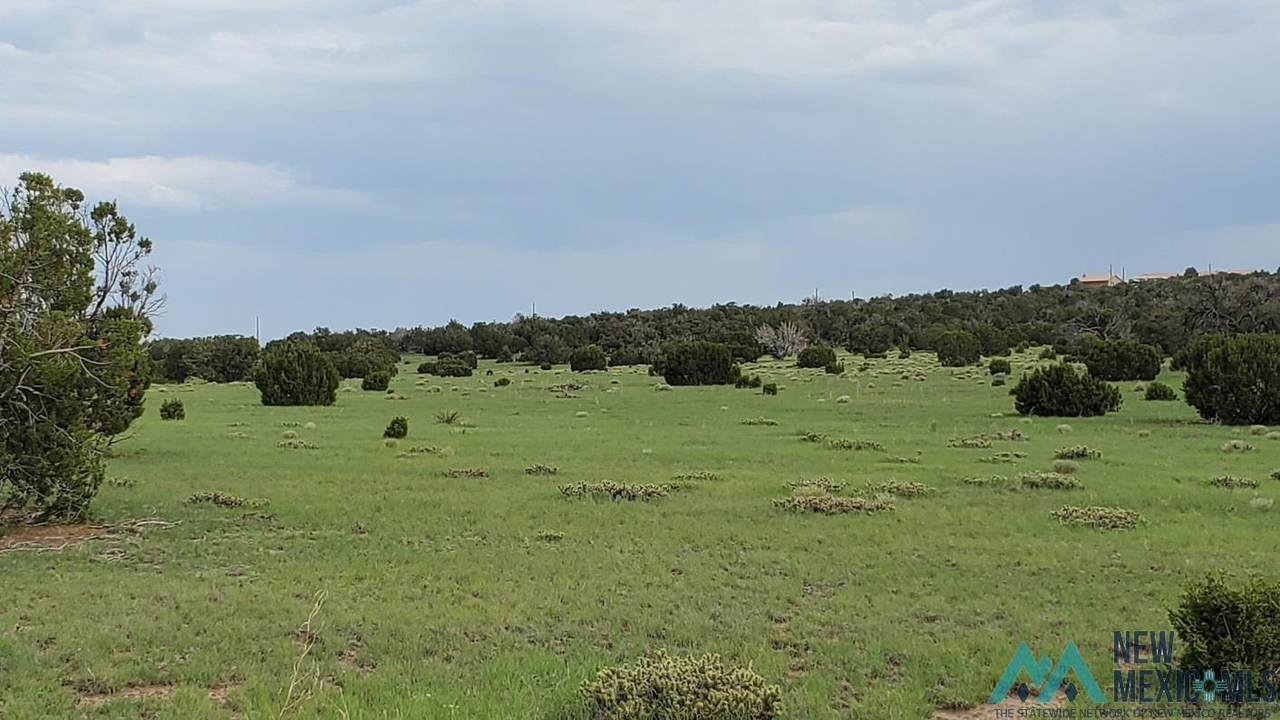 Old Ranch - Photo 1