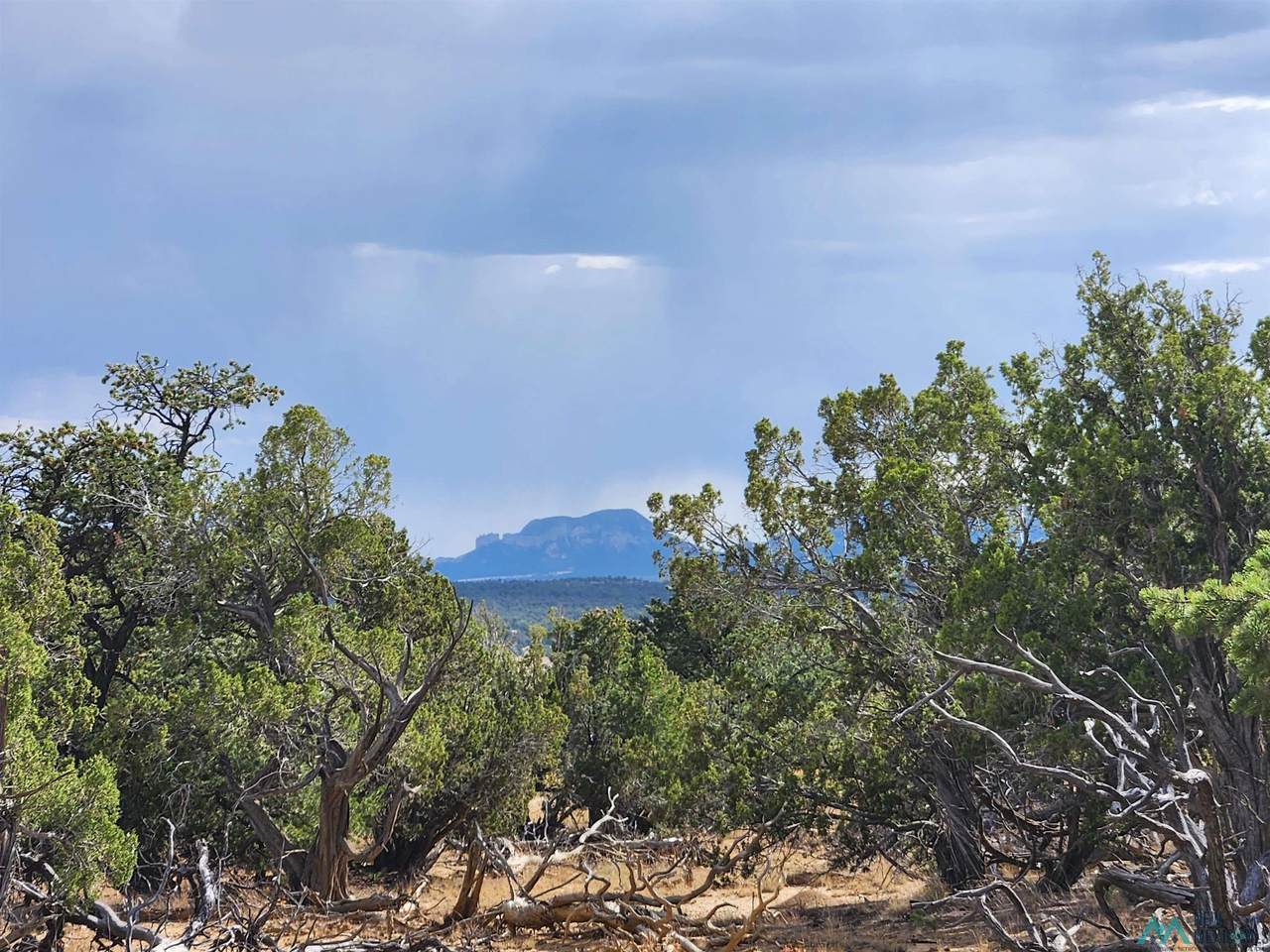 https://bt-photos.global.ssl.fastly.net/newmexico/1280_boomver_1_20245805-2.jpg