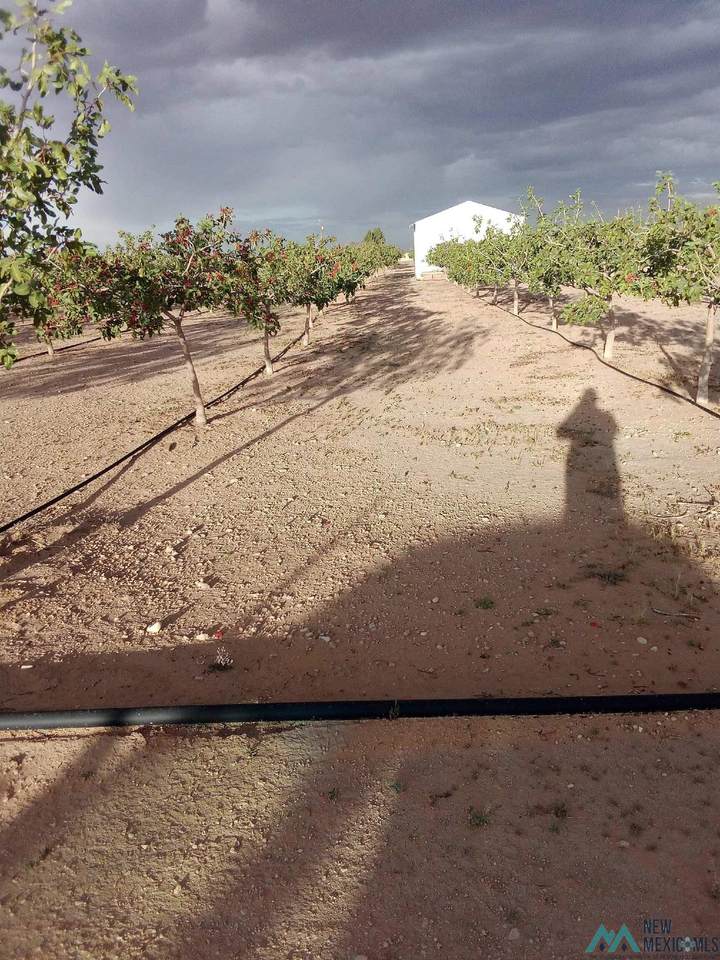 7074 Kevil Road - Photo 1