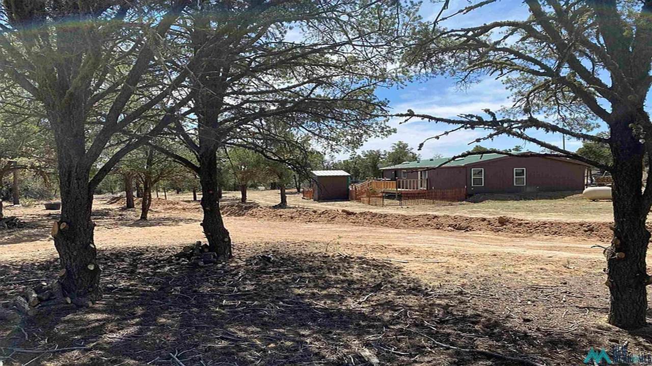 https://bt-photos.global.ssl.fastly.net/newmexico/1280_boomver_2_20260479-2.jpg