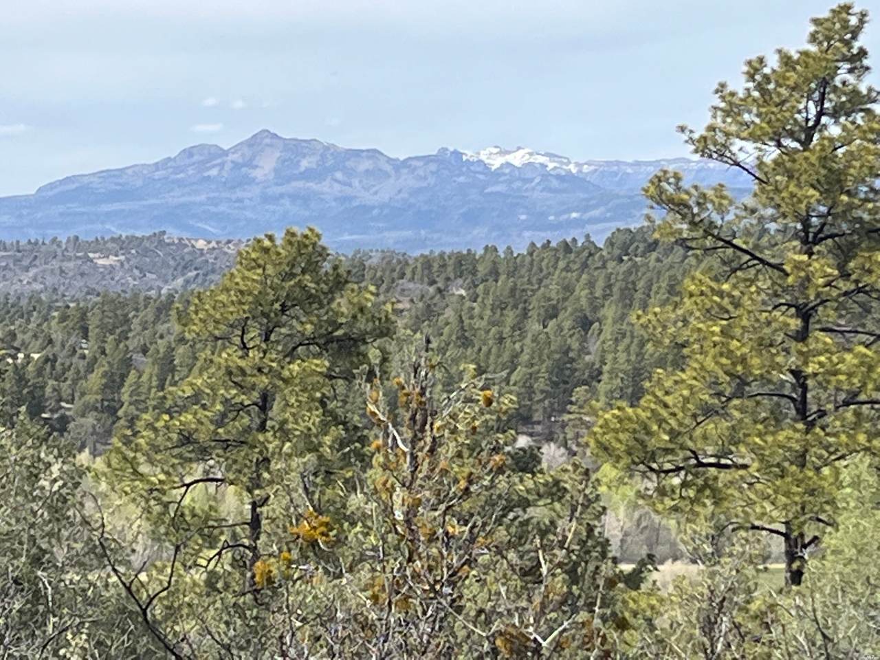 https://bt-photos.global.ssl.fastly.net/newmexico/1280_boomver_2_20263876-1.jpg