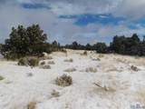 LOT 26 Spring Canyon Circle - Photo 5