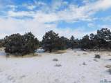 LOT 26 Spring Canyon Circle - Photo 7