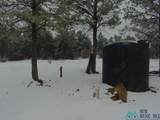 32 Dan Gatlin Lane - Photo 43