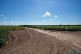2801 Ohara - Photo 9