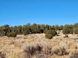  Ponderosa Ranches Trail Road - Photo 10